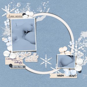 Winter snow