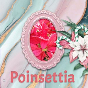 ID_ATasteOfChristmas-