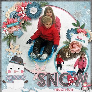 Sledding is Snow Much Fun