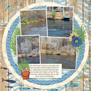 Fish Trap