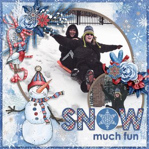 Snow Much Fun