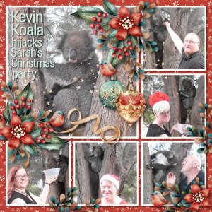 Kevin Koala