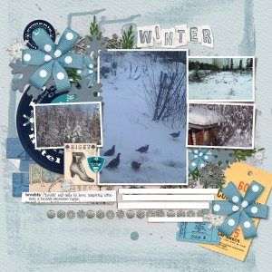Winter photos