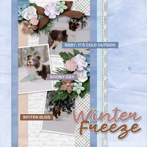 Winter Freeze