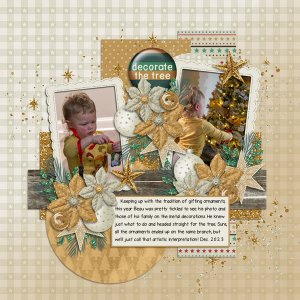 Decorate the Tree