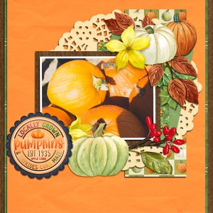 SCR-MoodyBlues-TGpumpkin600