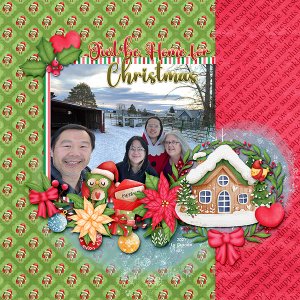 Home for Christmas