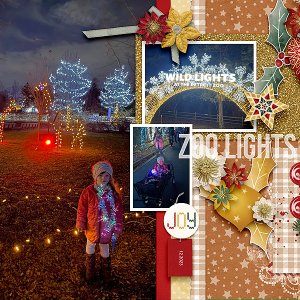 Zoo Lights lhs