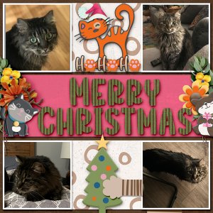 Ho, Ho, Ho, Merry Christmas