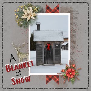 Blanket of Snow