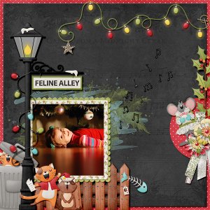 Feline Alley