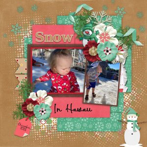 #2022 December with Temp #2-Connie Prince
