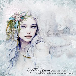 winter flowers