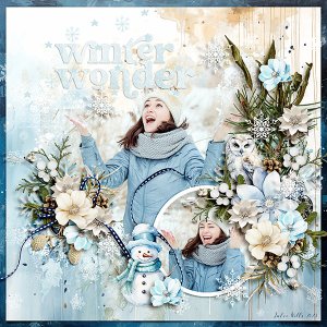 winter wonder