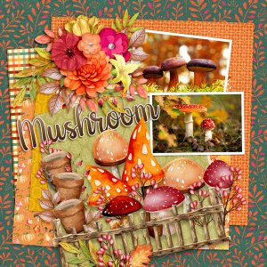 Autumn Mushrooms - Nov DD 2023