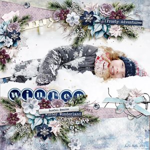 snowfall memories