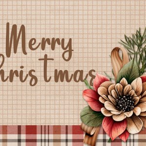Merry Christmas Card