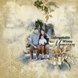 Winter Memories