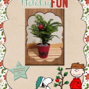 Holiday Fun