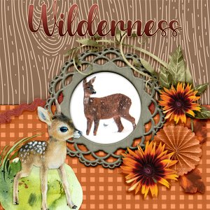 Wilderness