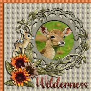 Wilderness