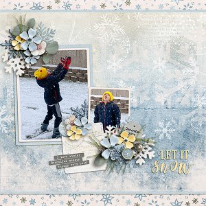 Cameron-snow