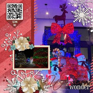 Winter Wonder