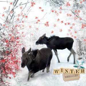 Winter-memories13