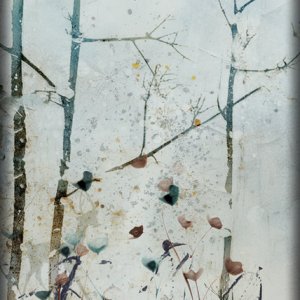 ATC 2023-041 The Color of Winter