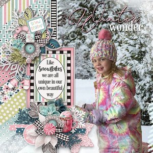 Winter Wonder