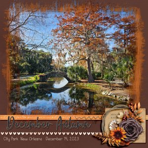 December Autumn