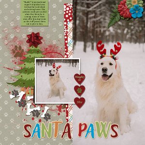 Santa Paws