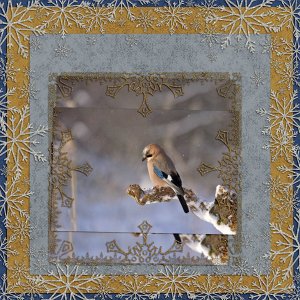 Blue Glitter Winter