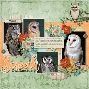 Owl sanctuary