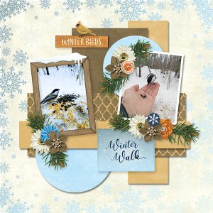 Winter Walk_2