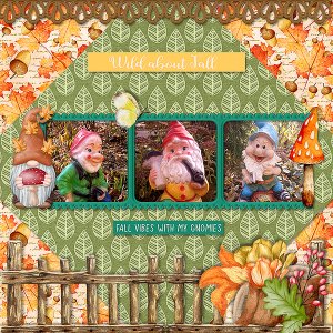 My Gnomies