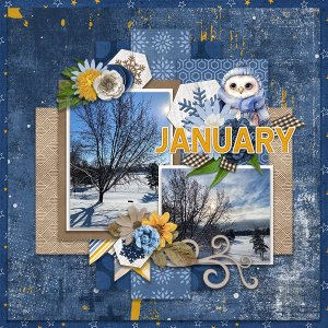 January snow 2023