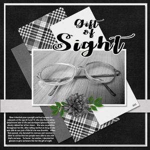The Gift of Sight