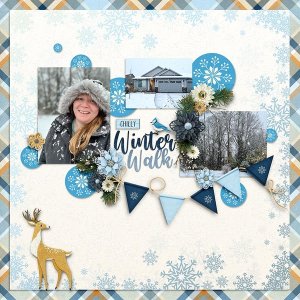Winter Walk