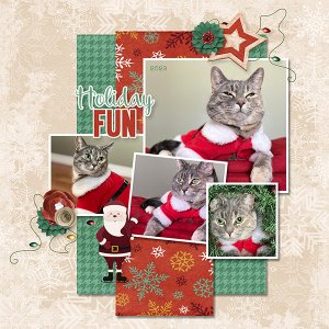 Hana Xmas 2023