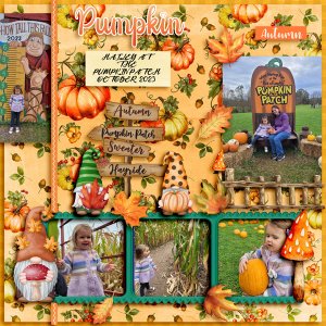 PUMPKIN -DD-12-23