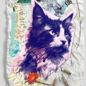 Kitty