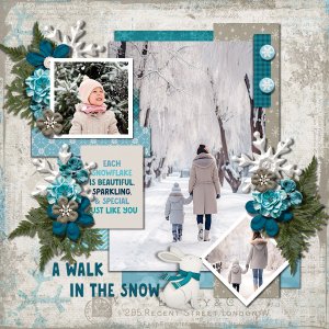 A Walk In The Snow