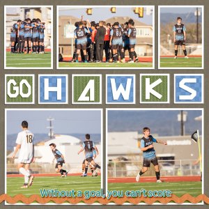 Go Hawks