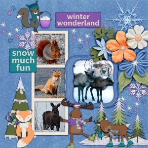 Winter-wonderland40