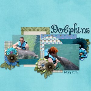 Dolphins