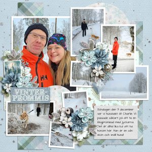 Winter Walk