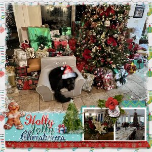 MFish_LiveSimplyMasks1_01