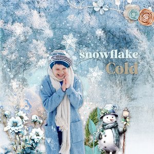 Snowflake Moment