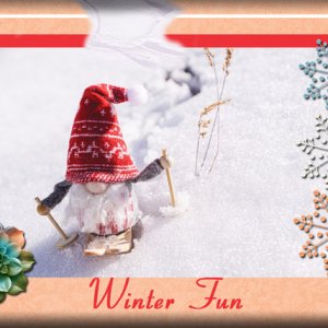 Winter Fun